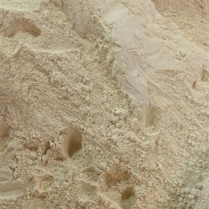 Red Ginger Powder